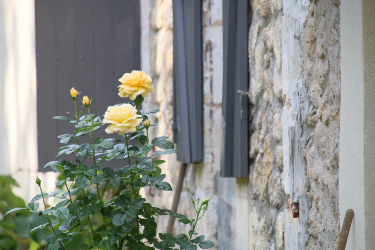 Villa Le Bon Ami Fronsac  Exterior foto